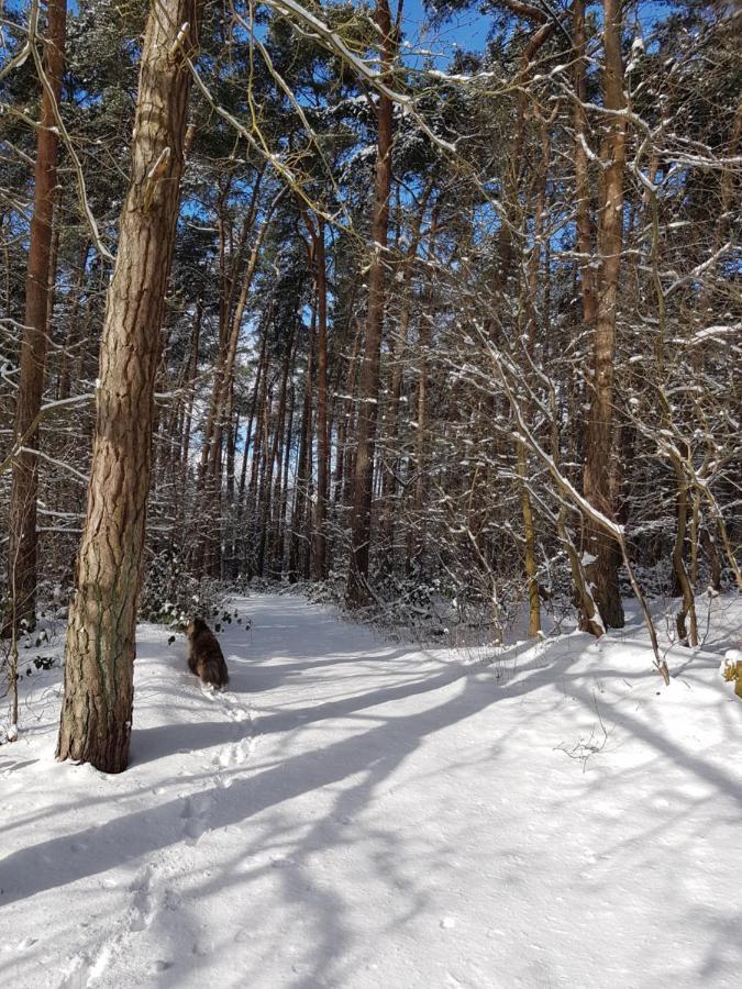 Garten Eden Лубмін Екстер'єр фото